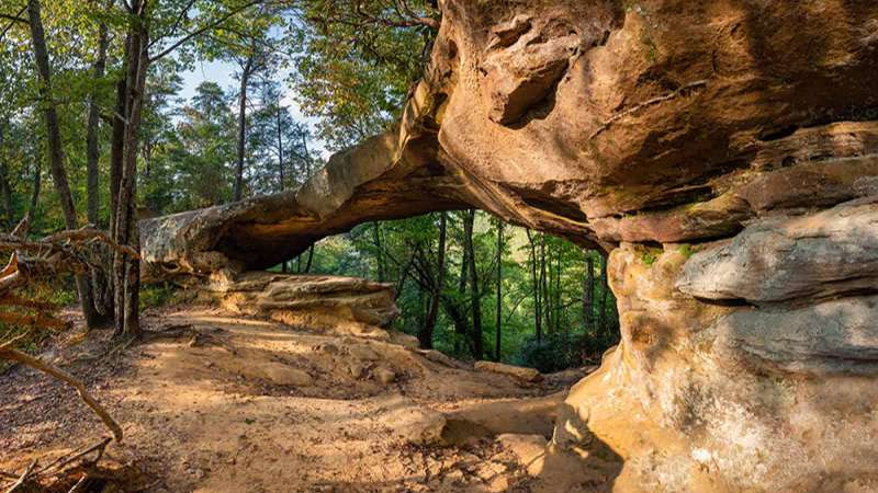 A hiking trail that looks like the perfect place for rock hunting in Kentucky