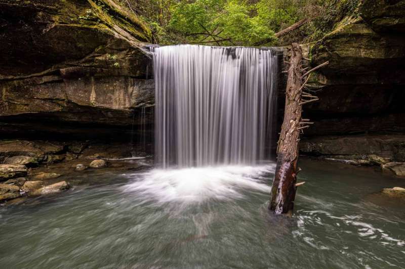 waterfalls in Kentucky; A head-on shot shows Dog Slaughter Falls raining down into its watering hole, with a tree trunk rising out of its center.