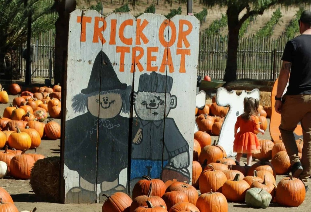 fall activities in Louisville